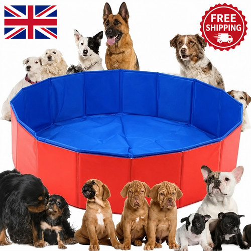 Large pet bath dog swimming - dog,