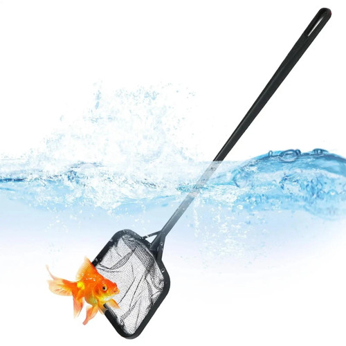 Swimming pool fishing net - pool,