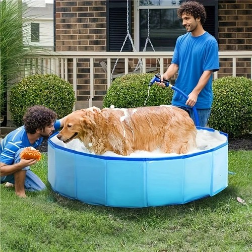 Pet bath dog swimming - bath, pools