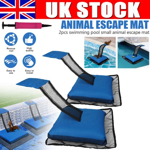 Pool animal escape - pool,
