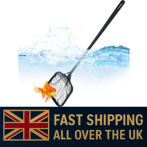 Swimming pool fishing net - pool,