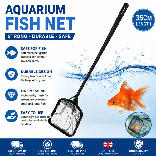 Swimming pool fishing - fishing, net